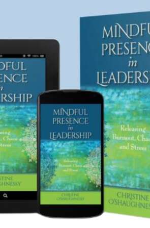 Announcing the Release of “Mindful Presence in Leadership: Releasing Burnout, Chaos and Stress”